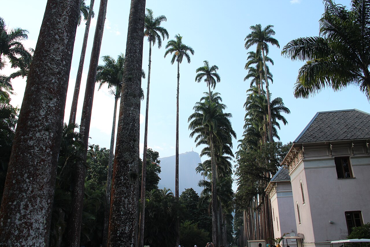 Penha